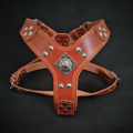 The ''Eros'' harness brown Small to Medium Size-0